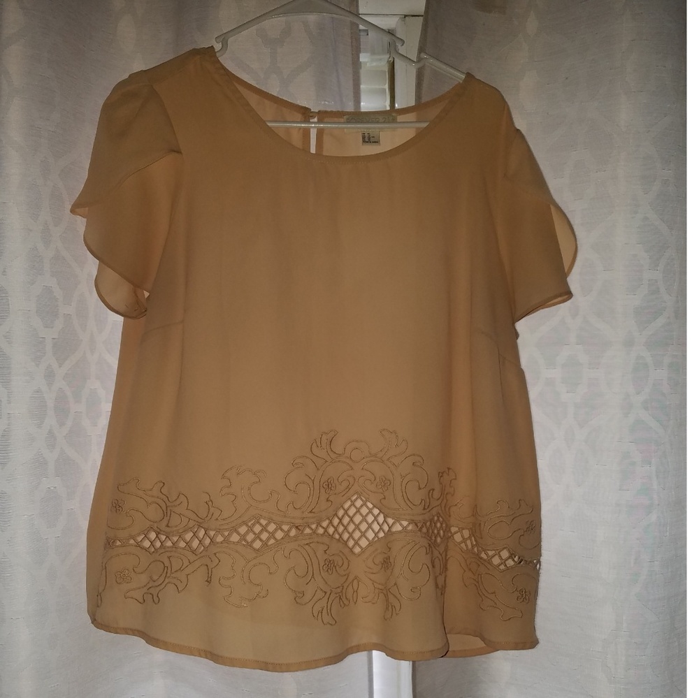 Forever 21 XL Cream Sheer top